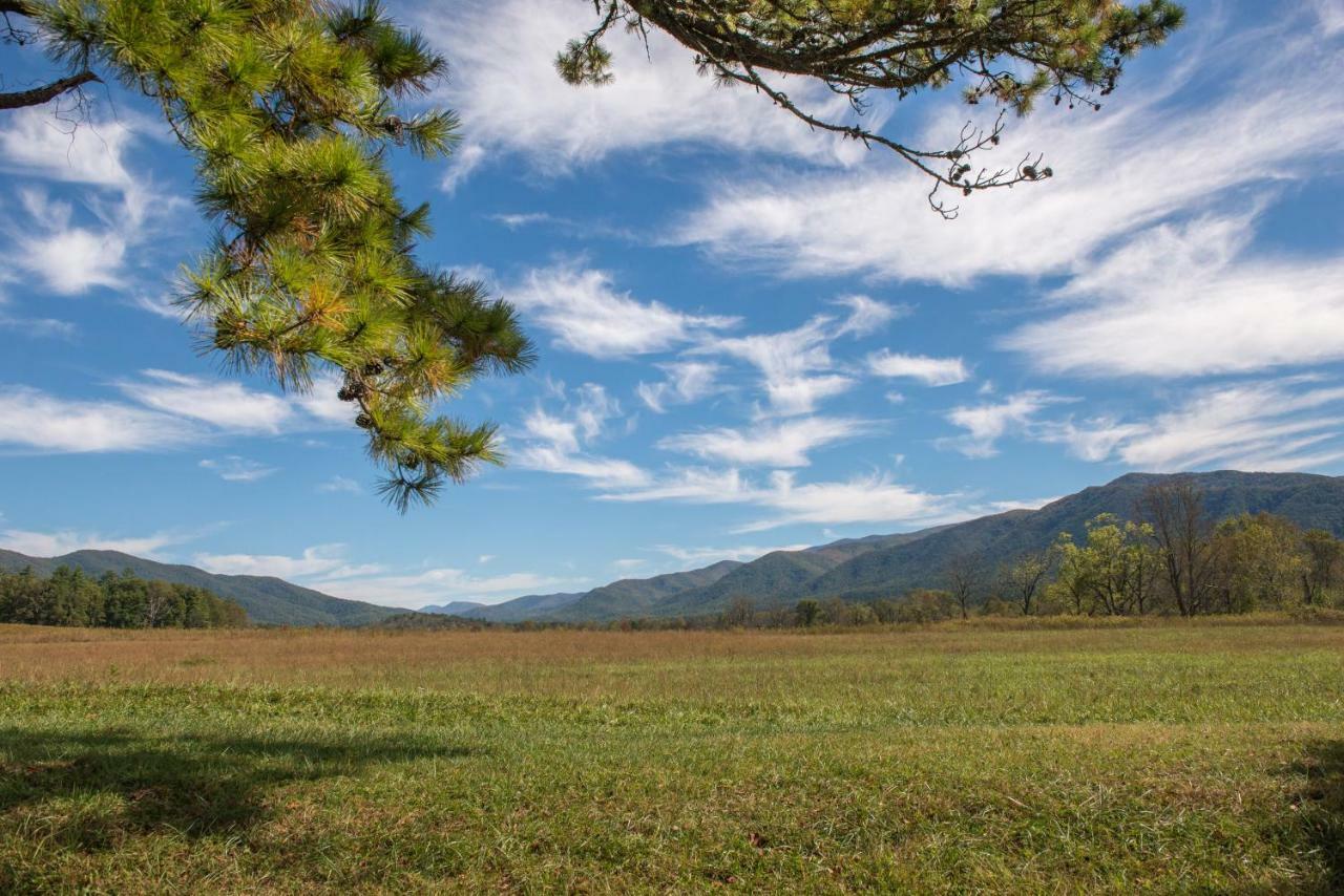 Вілла Running Bear Cabin Shady Grove Екстер'єр фото