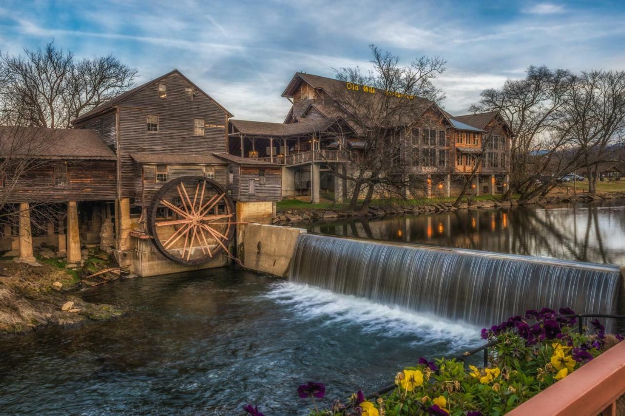 Вілла Running Bear Cabin Shady Grove Екстер'єр фото